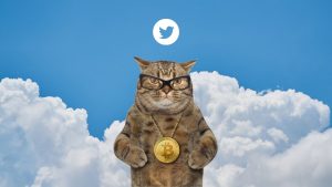 A Twitter ezentúl lehetővé teszi a felhasználók számára, hogy Bitcoin segítségével adjanak borravalót kedvenc alkotóiknak a közösségi hálózaton